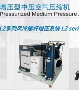 40Bar 螺杆式增压机 -定制服务